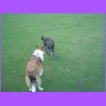 Belle and Evee.jpg